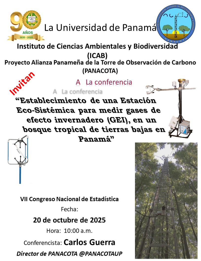 Afiche Estadística